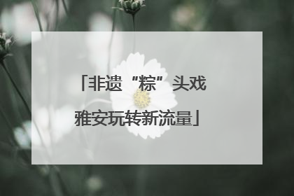 非遗“粽”头戏 雅安玩转新流量